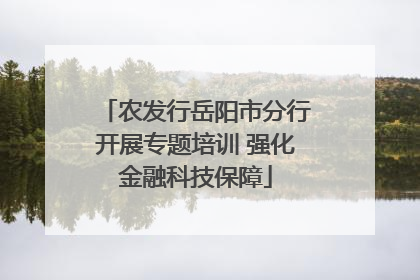 农发行岳阳市分行开展专题培训 强化金融科技保障