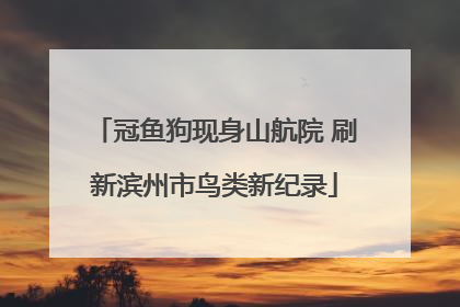 冠鱼狗现身山航院 刷新滨州市鸟类新纪录