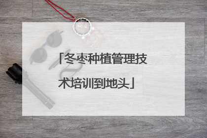 冬枣种植管理技术培训到地头