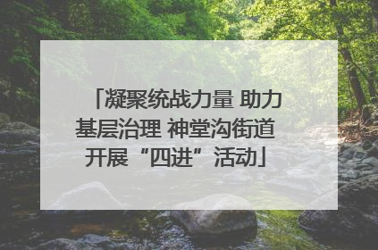 凝聚统战力量 助力基层治理 神堂沟街道开展“四进”活动