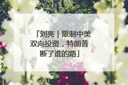 刘亮｜限制中美双向投资，特朗普断了谁的路