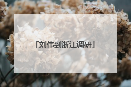 刘伟到浙江调研