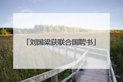 刘国梁获联合国聘书