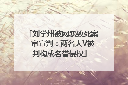 刘学州被网暴致死案一审宣判：两名大V被判构成名誉侵权