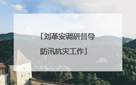 刘革安调研督导防汛抗灾工作