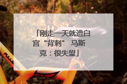 刚走一天就遭白宫“背刺” 马斯克：很失望