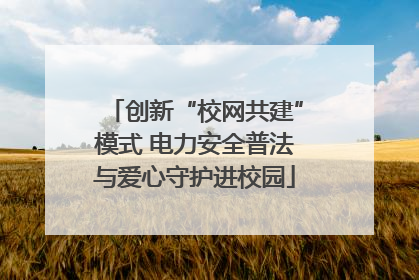 创新“校网共建”模式 电力安全普法与爱心守护进校园