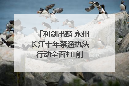 利剑出鞘 永州长江十年禁渔执法行动全面打响