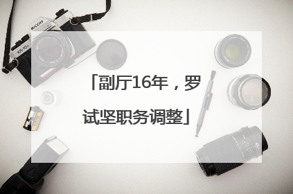 副厅16年，罗试坚职务调整