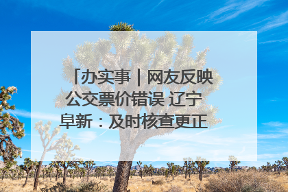 办实事｜网友反映公交票价错误 辽宁阜新：及时核查更正 加强实时巡检