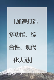 加速打造多功能、综合性、现代化大港
