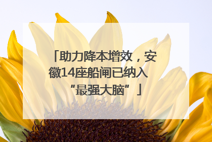助力降本增效，安徽14座船闸已纳入“最强大脑”