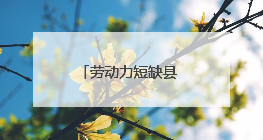 劳动力短缺县 如何让劳动密集型企业“逆袭”