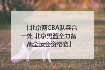 北京两CBA队兵合一处 北京男篮全力备战全运会资格赛
