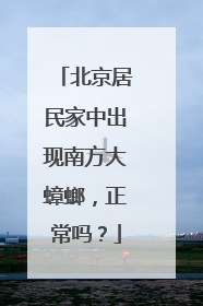 北京居民家中出现南方大蟑螂，正常吗？