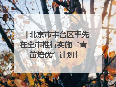 北京市丰台区率先在全市推行实施“青苗培优”计划