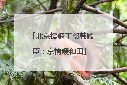 北京援疆干部韩殿臣：京情暖和田