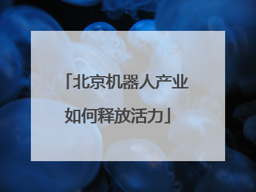 北京机器人产业如何释放活力