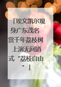 埃文凯尔现身广东茂名 赏千年荔枝树 上演无间道式“荔枝自由”