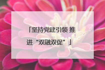 坚持党建引领 推进“双融双促”
