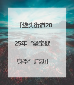 垡头街道2025年“垡宝健身季”启动