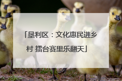 垦利区：文化惠民进乡村 擂台赛里乐翻天