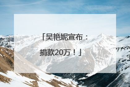 吴艳妮宣布：捐款20万！