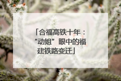 合福高铁十年：“动姐”眼中的福建铁路变迁