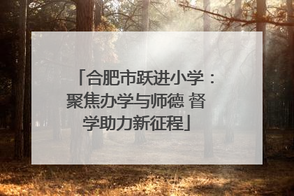 合肥市跃进小学：聚焦办学与师德 督学助力新征程
