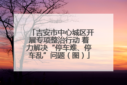吉安市中心城区开展专项整治行动 着力解决“停车难、停车乱”问题（图）