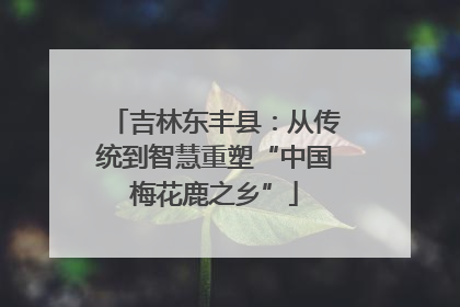 吉林东丰县：从传统到智慧重塑“中国梅花鹿之乡”