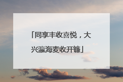 同享丰收喜悦，大兴瀛海麦收开镰