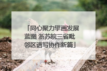 同心聚力擘画发展蓝图 浙苏皖三省毗邻区谱写协作新篇