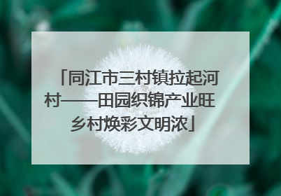 同江市三村镇拉起河村——田园织锦产业旺 乡村焕彩文明浓