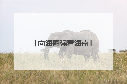 向海图强看海南