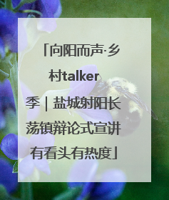 向阳而声·乡村talker季｜盐城射阳长荡镇辩论式宣讲有看头有热度