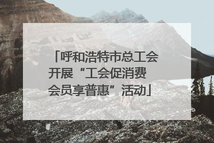 呼和浩特市总工会开展“工会促消费 会员享普惠”活动