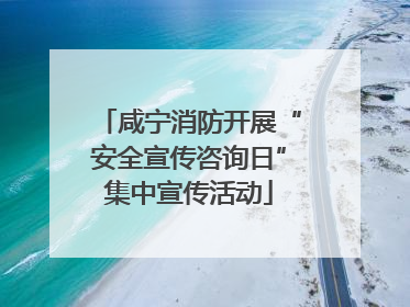 咸宁消防开展“安全宣传咨询日”集中宣传活动