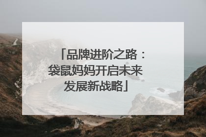 品牌进阶之路：袋鼠妈妈开启未来发展新战略