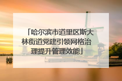 哈尔滨市道里区斯大林街道党建引领网格治理提升管理效能