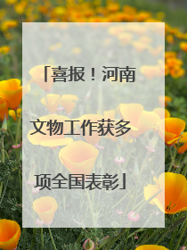 喜报！河南文物工作获多项全国表彰