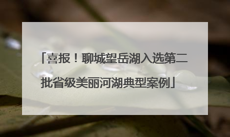 喜报！聊城望岳湖入选第二批省级美丽河湖典型案例
