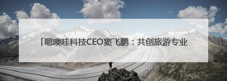 嗯噢哇科技CEO窦飞鹏：共创旅游专业能力认知平台，激发行业“自生长”力量