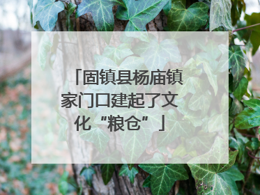 固镇县杨庙镇家门口建起了文化“粮仓”