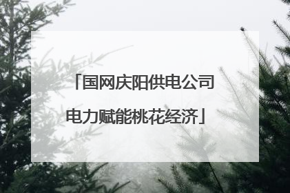国网庆阳供电公司电力赋能桃花经济