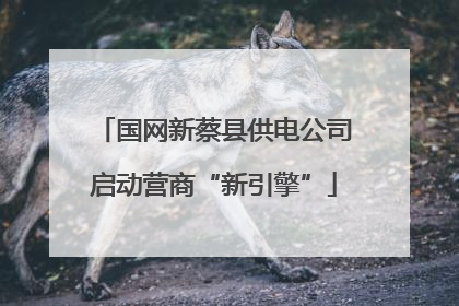 国网新蔡县供电公司启动营商“新引擎”