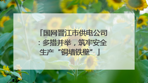 国网晋江市供电公司：多措并举，筑牢安全生产“铜墙铁壁”