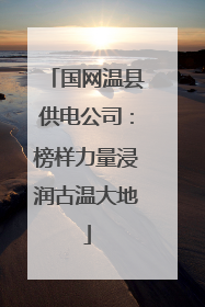 国网温县供电公司：榜样力量浸润古温大地