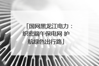 国网黑龙江电力：织密端午保电网 护航绿色出行路