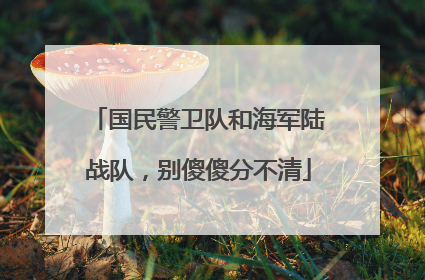 国民警卫队和海军陆战队，别傻傻分不清